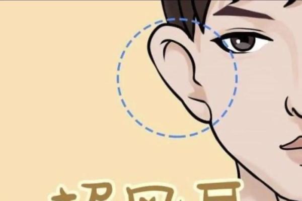 耳朵向前长,命运与性格的深刻关联 耳朵向前长,命运与性格的深刻关联