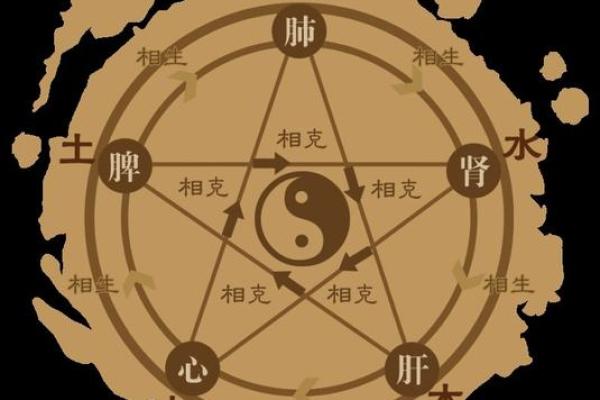 土命人的生活指南:如何把握好运与幸福的关键 土命人的生活指南:如何把握好运与幸福的关键