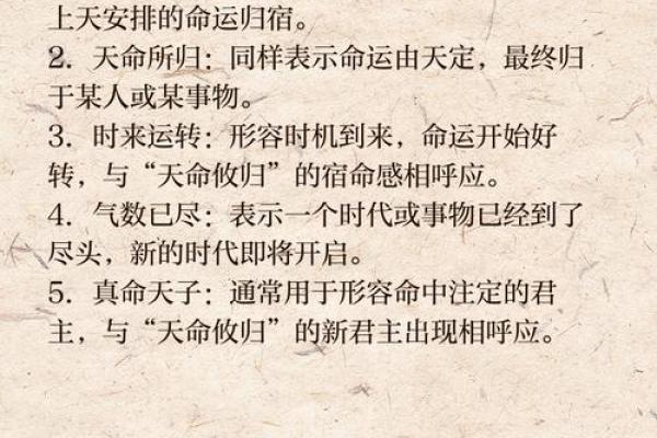 命运与成语:揭秘“身”字背后的智慧与哲理 命运与成语:揭秘“身”字背后的智慧与哲理