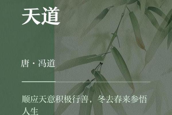 解密1992腊月24的命运之谜:探寻个人命格与人生起伏 解密1992腊月24的命运之谜:探寻个人命格与人生起伏