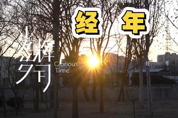 探寻金命的辉煌岁月:哪一年最适合金命人士? 探寻金命的辉煌岁月:哪一年最适合金命人士?