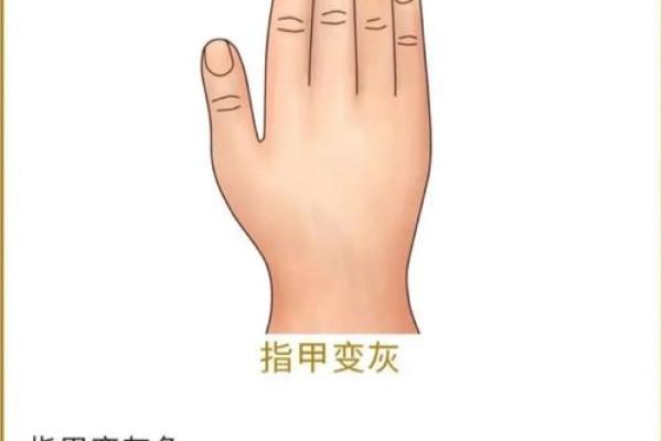 指甲不平的命格解析:让你了解自己的命运之路 指甲不平的命格解析:让你了解自己的命运之路