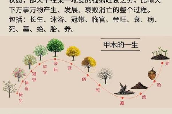 命理五行奥秘:揭示你未知的命格! 命理五行奥秘:揭示你未知的命格!