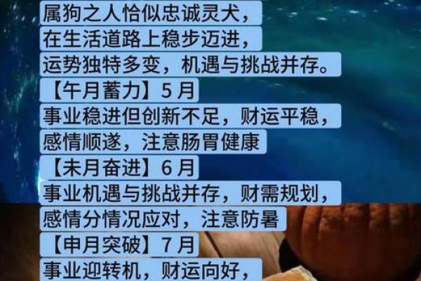 属狗人在7月28日的命运解析:追寻幸福与成功的道路 属狗人在7月28日的命运解析:追寻幸福与成功的道路