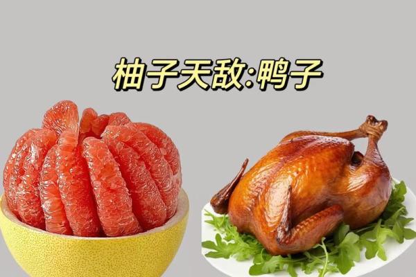 吃命之母,食物与生命的奇妙关系 吃命之母,食物与生命的奇妙关系