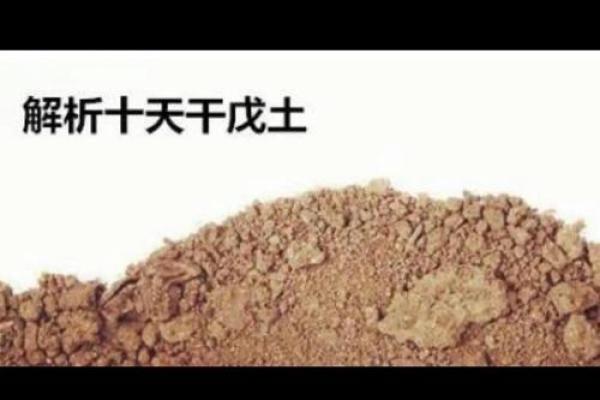 城墙土命:喜忌解析与生活指南,助你走向富贵人生! 城墙土命:喜忌解析与生活指南,助你走向富贵人生!