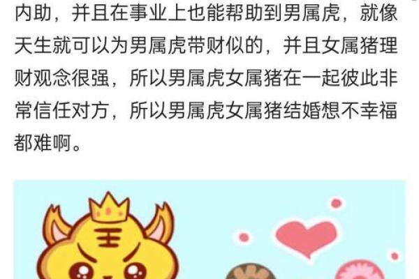 1983年猪年:性格与命运的深度解析 1983年猪年:性格与命运的深度解析