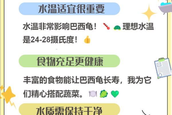 为什么传说乌龟长命百岁?探寻其背后的秘密与象征意义 为什么传说乌龟长命百岁?探寻其背后的秘密与象征意义