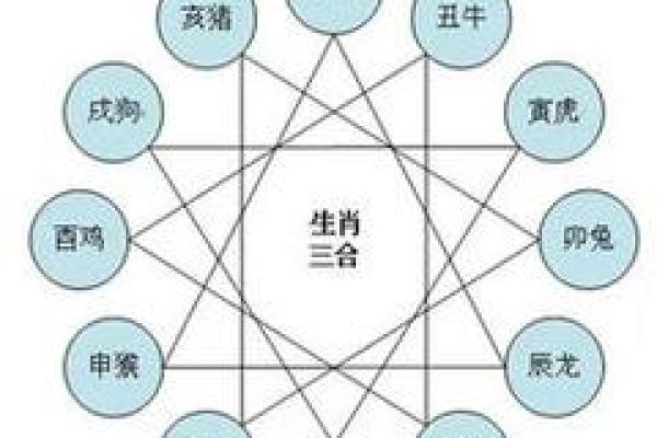 属相命理:如何通过生肖了解你的命运与性格 属相命理:如何通过生肖了解你的命运与性格