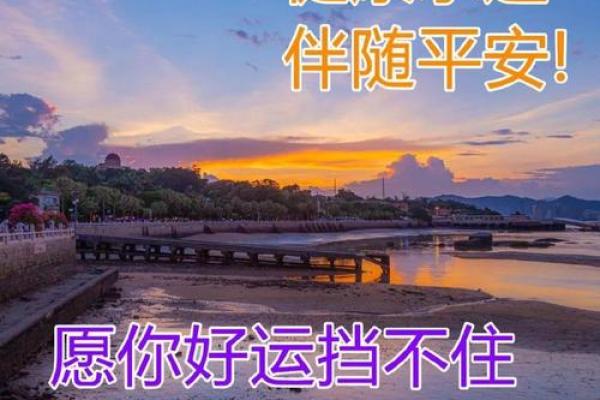 2019年属狗人的命运解析:走向幸福与成功的道路 2019年属狗人的命运解析:走向幸福与成功的道路