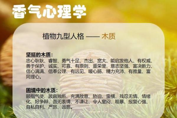 了解木命人的特点与命理解析,让你更深刻认识自己 了解木命人的特点与命理解析,让你更深刻认识自己