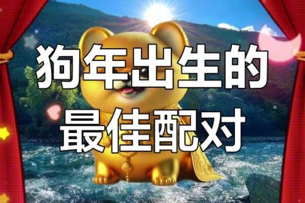 2006年是狗年,属狗人的命运与性格分析 2006年是狗年,属狗人的命运与性格分析