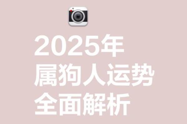 女24属狗的命理解析:性格与运势的双重探秘 女24属狗的命理解析:性格与运势的双重探秘