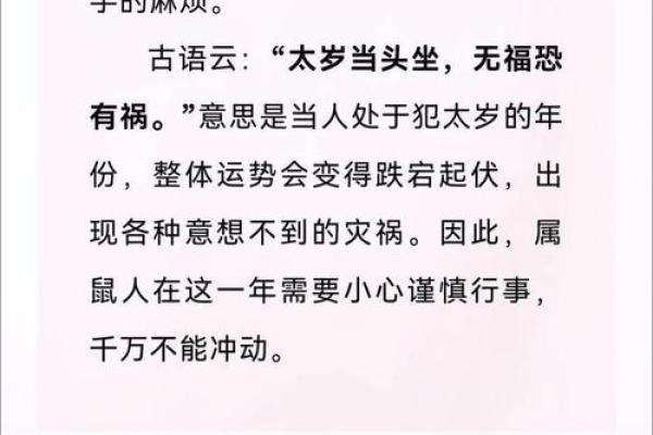2022年鼠宝宝命理解析:幸福与挑战并存的命运之旅 2022年鼠宝宝命理解析:幸福与挑战并存的命运之旅