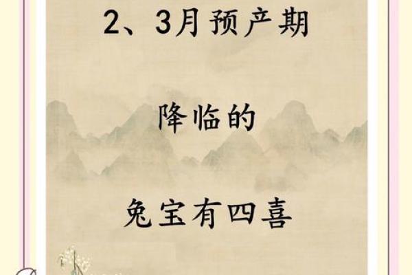 2024年孩子的命运:探秘兔年出生的孩子性格和运势 2024年孩子的命运:探秘兔年出生的孩子性格和运势