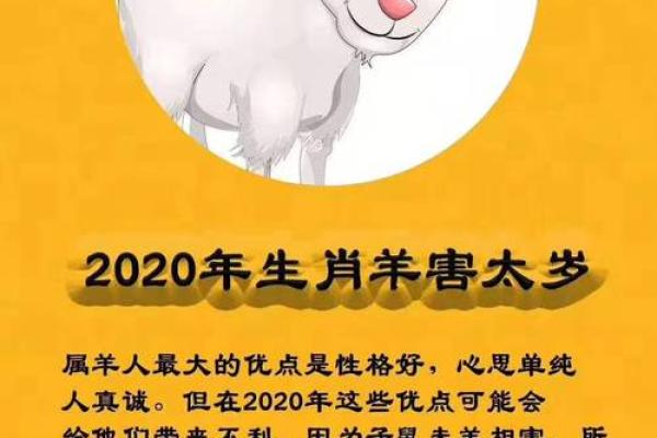 2024年孩子的命运:探秘兔年出生的孩子性格和运势 2024年孩子的命运:探秘兔年出生的孩子性格和运势