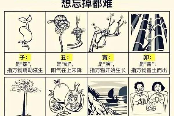 了解土命:不同出生时辰的人如何归属土命 了解土命:不同出生时辰的人如何归属土命