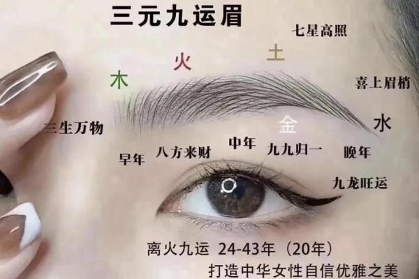眉毛向上长的人命运解析:平步青云还是曲折坎坷? 眉毛向上长的人命运解析:平步青云还是曲折坎坷?