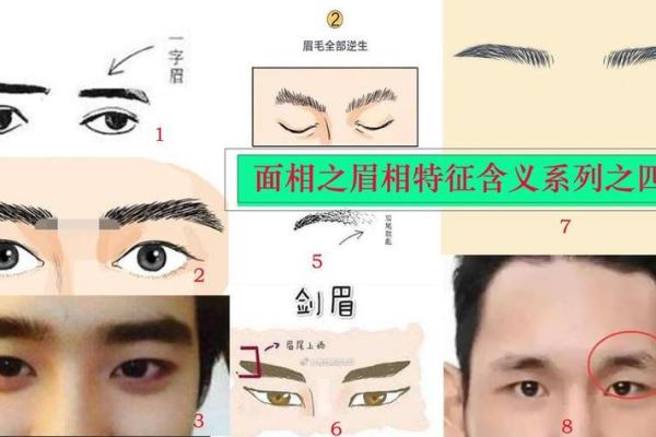 眉毛向上长的人命运解析:平步青云还是曲折坎坷? 眉毛向上长的人命运解析:平步青云还是曲折坎坷?