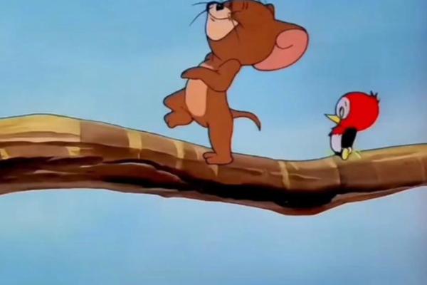 24岁那只老鼠的人生启示:勇敢追梦,不畏艰险! 24岁那只老鼠的人生启示:勇敢追梦,不畏艰险!