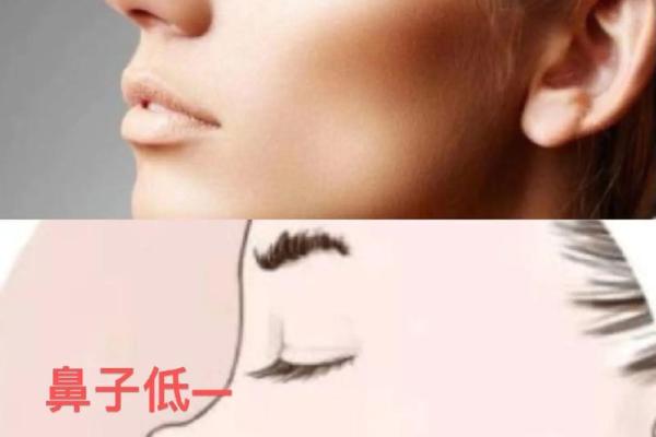 男人鼻头向上翘的命运解析：从面相看你的未来[^1]^