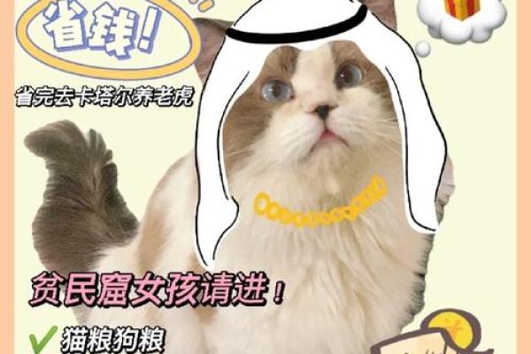 石榴木命的养宠秘籍:适合的动物与你的财富运势 石榴木命的养宠秘籍:适合的动物与你的财富运势