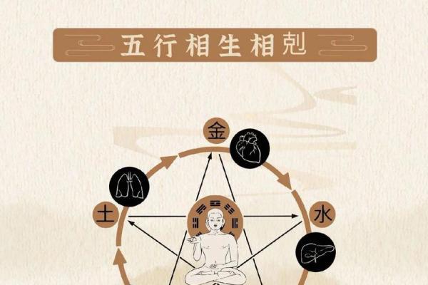 属鼠1953年命运解析:如何运用五行学实现人生理想 属鼠1953年命运解析:如何运用五行学实现人生理想