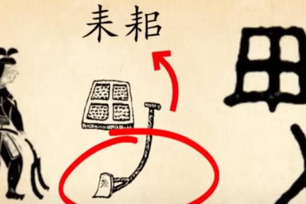 命理书最后的智慧:人生的导航与选择之道 命理书最后的智慧:人生的导航与选择之道