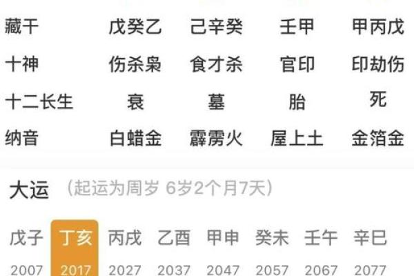 明年是什么命?解读2024年的命理运势与生活建议 明年是什么命?解读2024年的命理运势与生活建议