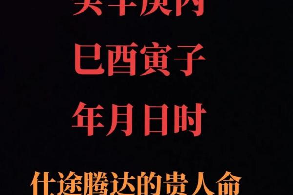 冬季出生的人命理解析:温暖与坚韧的双重特质 冬季出生的人命理解析:温暖与坚韧的双重特质