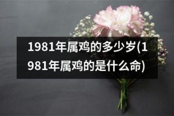 属鸡之命:二零零四年出生的你,命运与幸运的探讨 属鸡之命:二零零四年出生的你,命运与幸运的探讨