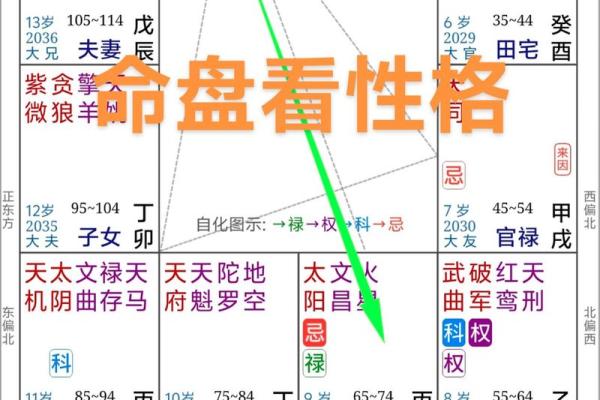 命主命盘中的兄弟紫薇科解析:财运、事业与人际关系的深刻影响 命主命盘中的兄弟紫薇科解析:财运、事业与人际关系的深刻影响