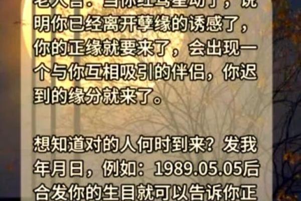 1984年冬月出生，命理揭秘与人生指引