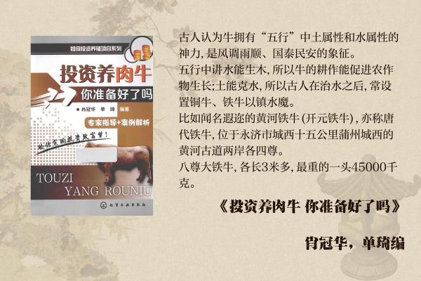 根据生肖与五行命理,养牛的最佳人群揭秘 根据生肖与五行命理,养牛的最佳人群揭秘