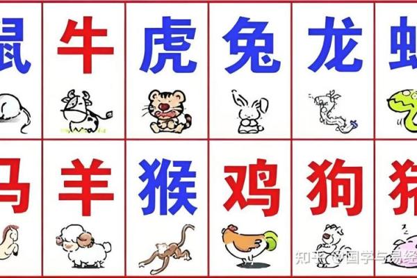 80后生肖运势解析:哪些生肖在命理上更有优势? 80后生肖运势解析:哪些生肖在命理上更有优势?