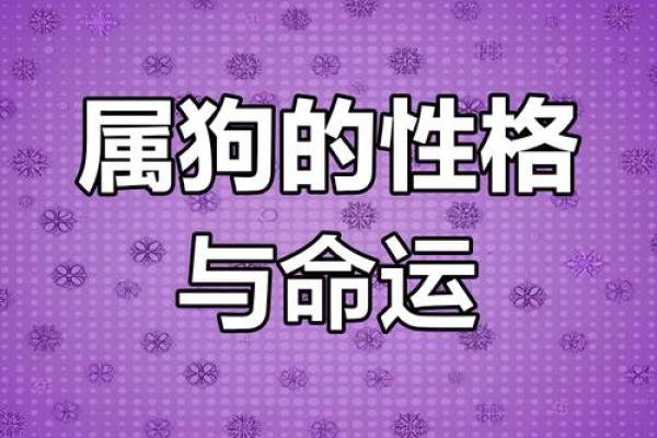 82年属狗:乐观与坚持的命运之旅 82年属狗:乐观与坚持的命运之旅