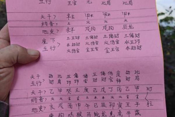 查是什么命?揭秘命运背后的奥秘与象征 查是什么命?揭秘命运背后的奥秘与象征