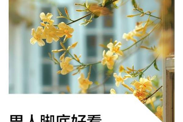 男人看脚型揭示命运的秘密:你的命运藏在脚下! 男人看脚型揭示命运的秘密:你的命运藏在脚下!