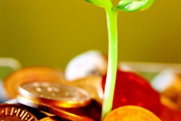 木命者如何选择行业才能财运亨通? 木命者如何选择行业才能财运亨通?