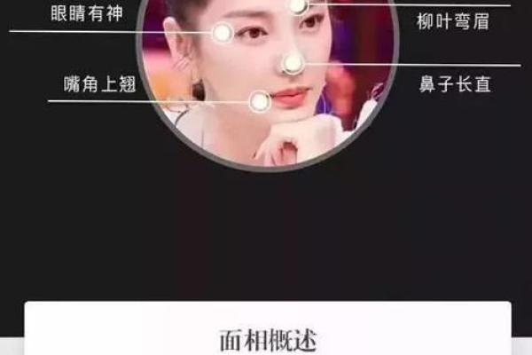 2023年生小牛的命格解析:财富与机遇并存的未来 2023年生小牛的命格解析:财富与机遇并存的未来