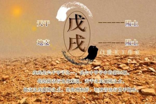 1958年出生的人命运解析与人生智慧分享 1958年出生的人命运解析与人生智慧分享