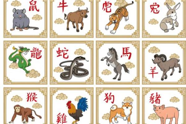 2023年农历生肖鼠:称心如意的命运解析与生活指南 2023年农历生肖鼠:称心如意的命运解析与生活指南