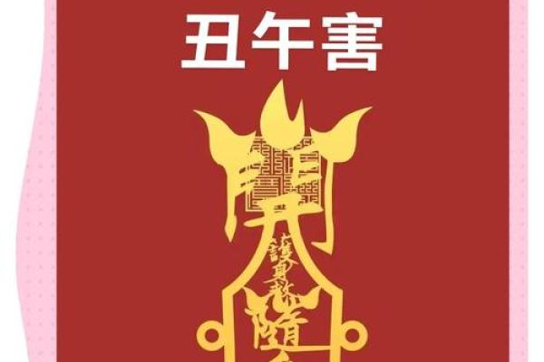 2002年2.3是什么命?探究命理之深邃与魅力 2002年2.3是什么命?探究命理之深邃与魅力