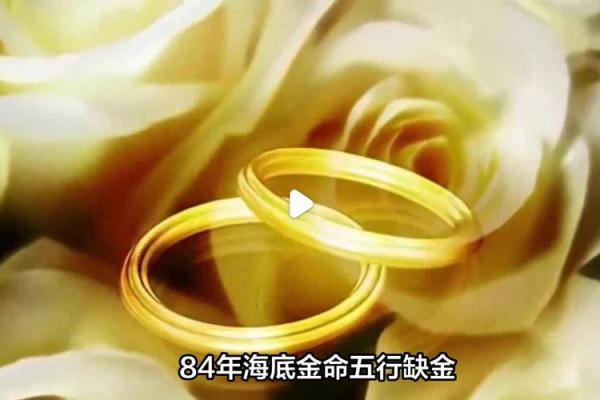 年命金命人士适合从事哪些生意?探讨生意选择与命理的契合! 年命金命人士适合从事哪些生意?探讨生意选择与命理的契合!