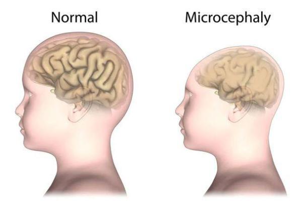 探寻命理五重金命,揭示其背后的奥秘与人生智慧 探寻命理五重金命,揭示其背后的奥秘与人生智慧