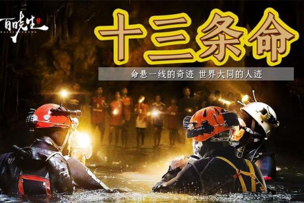 《十三条命》:勇气与希望交织的真实救援故事 《十三条命》:勇气与希望交织的真实救援故事
