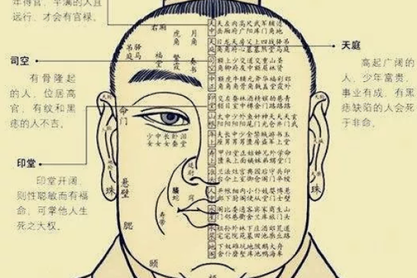 天生注定:如何通过命理测试揭示你的命运之路 天生注定:如何通过命理测试揭示你的命运之路