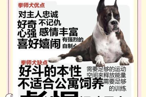 1994年出生的狗,命运与方位的奥秘探索 1994年出生的狗,命运与方位的奥秘探索