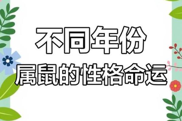 2020年属鼠人的命运与缺失分析:如何扬长避短,开创未来! 2020年属鼠人的命运与缺失分析:如何扬长避短,开创未来!