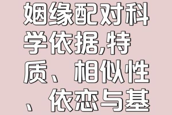 如何判断一个女命能否找到有能力的丈夫?探秘命理与姻缘的奥秘 如何判断一个女命能否找到有能力的丈夫?探秘命理与姻缘的奥秘